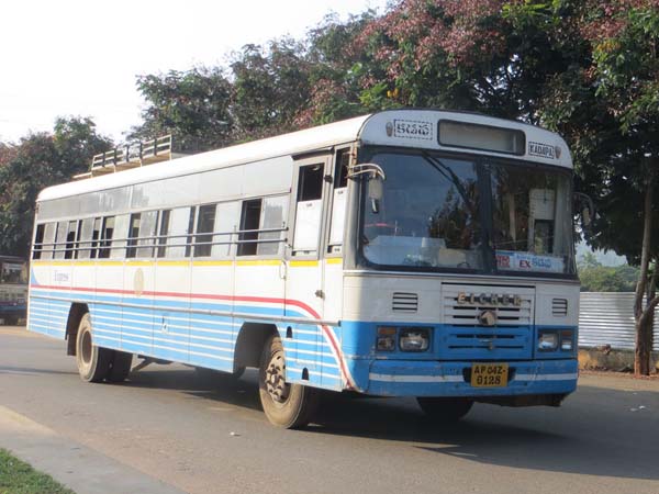 Complaint against APSRTC bed bugs in apsrtc buses Complaint against APSRTC bed bugs in apsrtc buses