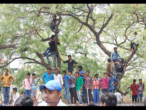 కాజల్ కోసం..