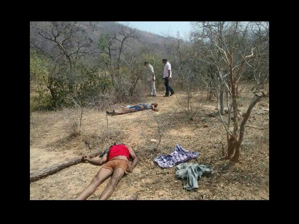 Red sanders encounter: AP govt says no human rights violation Red sanders encounter: AP govt says no human rights violation