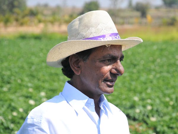 KCR to write songs for government schemes KCR to write songs for government schemes