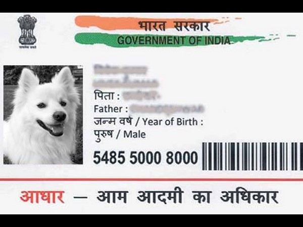 Man tries to get Aadhaar card for a dog, booked Man tries to get Aadhaar card for a dog, booked