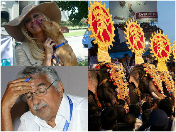 Actor Pamela Anderson Asks Kerala Chief Minister Not to Use Elephants for Kerala Festival Actor Pamela Anderson Asks Kerala Chief Minister Not to Use Elephants for Kerala Festival