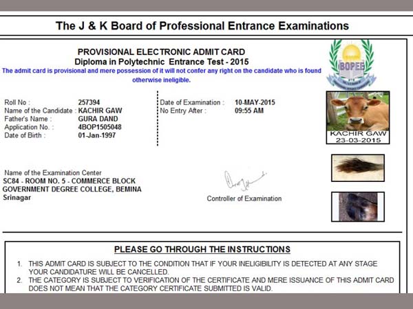 Cow issued admit card by JK authorities to write exam Cow issued admit card by JK authorities to write exam