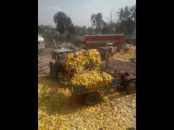 Nestle India is withdraw Maggi noodles Nestle India is withdraw Maggi noodles