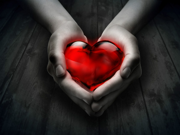 A first: Navy flies harvested heart for Kochi auto driver A first: Navy flies harvested heart for Kochi auto driver