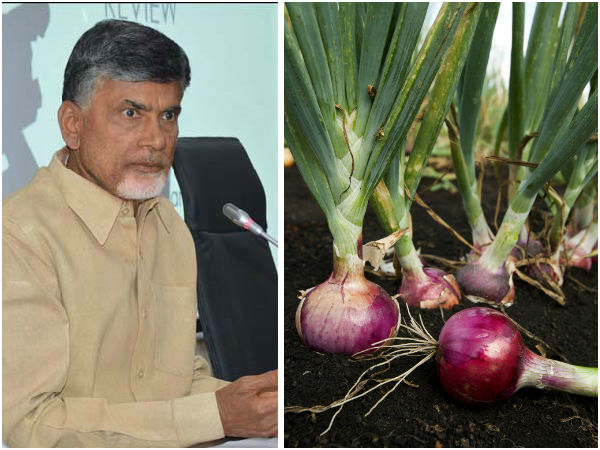 Get aadhar card for buying onions in vijayawada Get aadhar card for buying onions in vijayawada