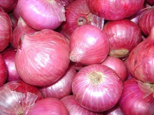Pricey Onions making you cry? Harsimrat Kaur Badal wants you to try paste & powder! Pricey Onions making you cry? Harsimrat Kaur Badal wants you to try paste & powder!