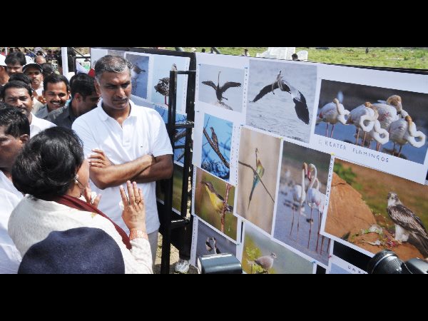 మిషన్ కాకతీయ
