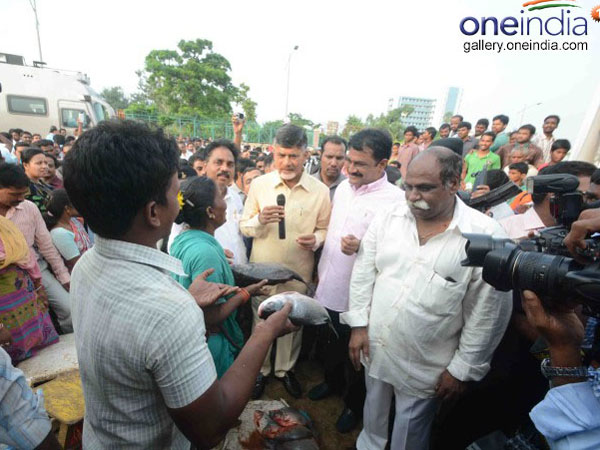 Youth, who sells fishes questions Chandrababu Youth, who sells fishes questions Chandrababu