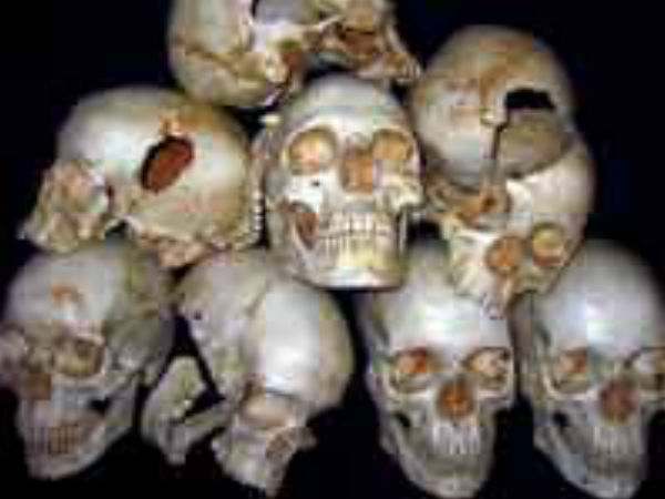skulls skulls