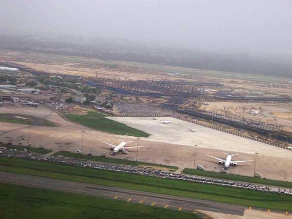 DGCA probes intrusion of pigs in Nagpur airport DGCA probes intrusion of pigs in Nagpur airport