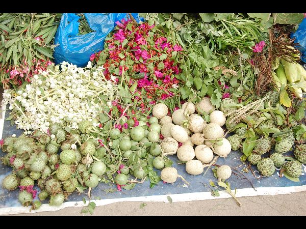 గణేష్ చవితి