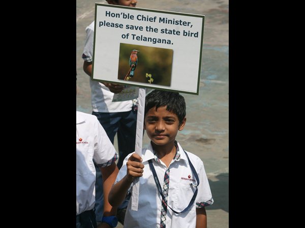 పాలపిట్ట