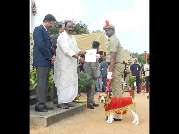 పాసింగ్ ఔట్ పరేడ్