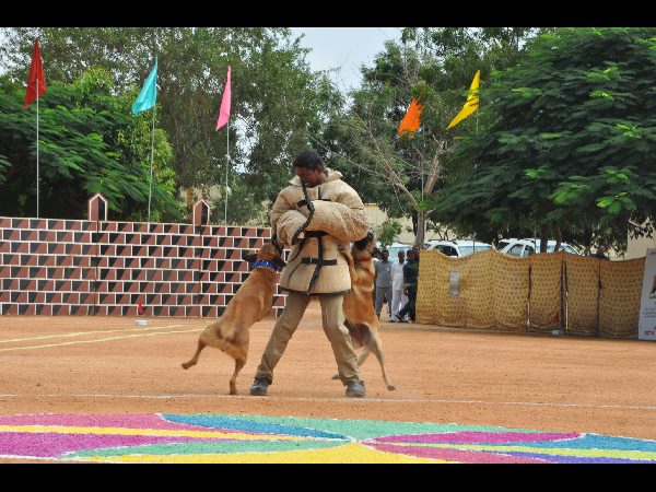 పాసింగ్ ఔట్ పరేడ్