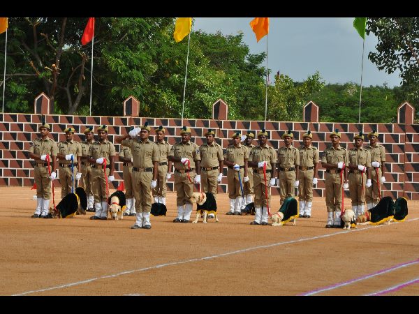 పాసింగ్ ఔట్ పరేడ్