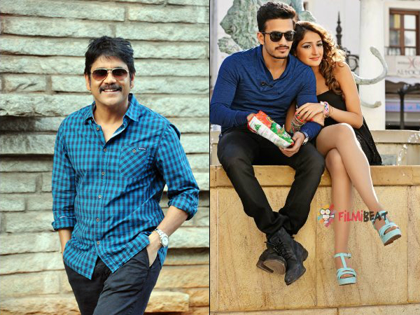Nagarjuna fans attempt to commit suicide Nagarjuna fans attempt to commit suicide
