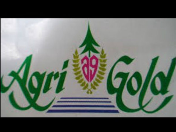 High Court Serious on Agrigold Management High Court Serious on Agrigold Management