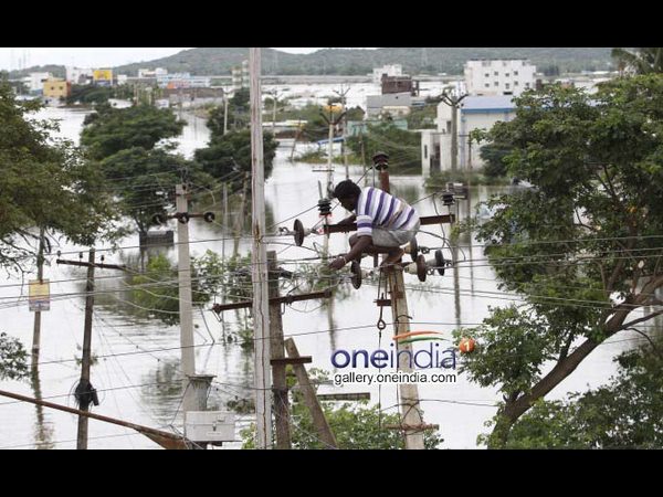అన్నం పెట్టండి