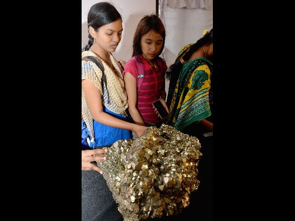 అరుదైన ఖనిజ, శిలాజాలు