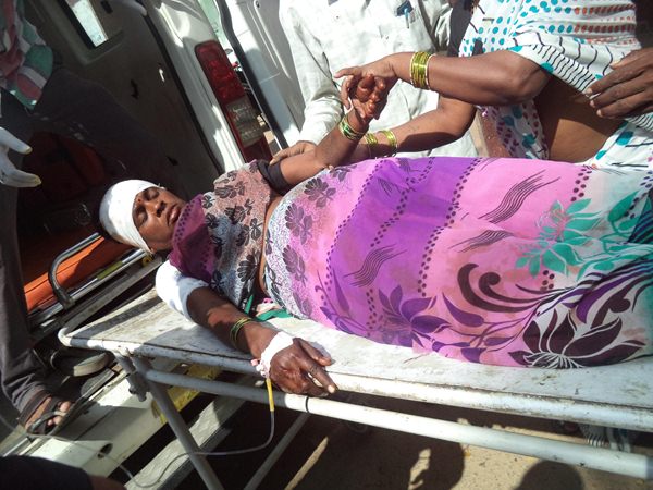 చిరుత పులి