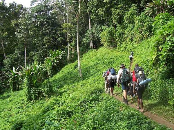 American tourist gang-raped on Papua New Guinea jungle trek American tourist gang-raped on Papua New Guinea jungle trek