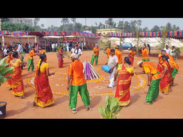 విశాఖ ఏయూలో సంక్రాంతి సంబరం