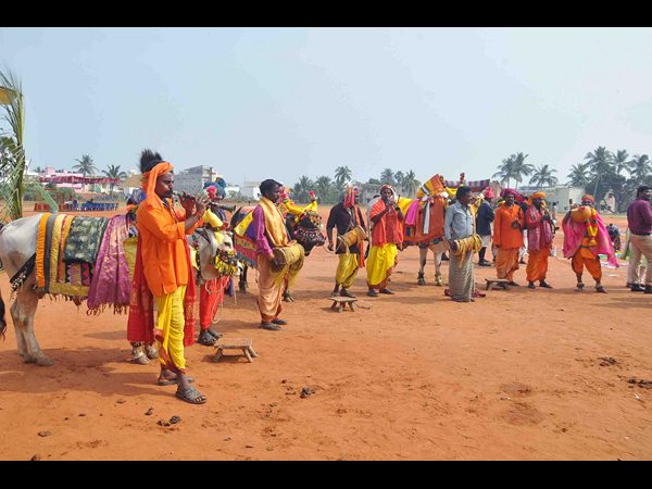 విశాఖ ఏయూలో సంక్రాంతి సంబరం