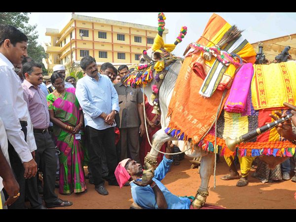 విశాఖ ఏయూలో సంక్రాంతి సంబరం