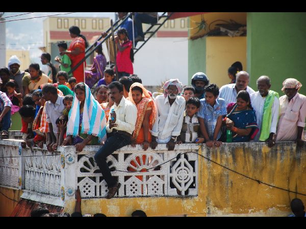 జల్లికట్టు