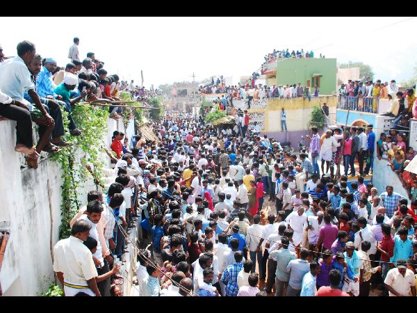 జల్లికట్టు