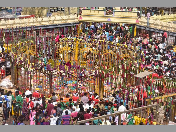 మేడారం మహాజాతర
