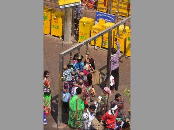 మేడారం మహాజాతర
