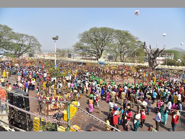 మేడారం మహాజాతర