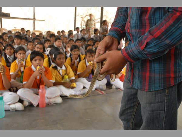 పాములపై అవగాహన