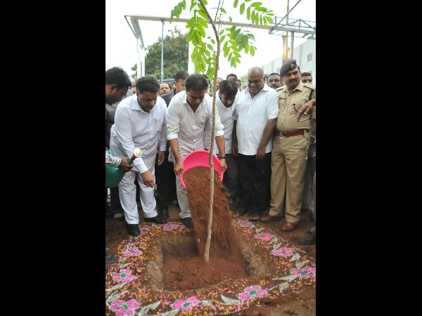 బజార్లలో అక్రమ జంతు వధ చేయొద్దు: కేటీఆర్