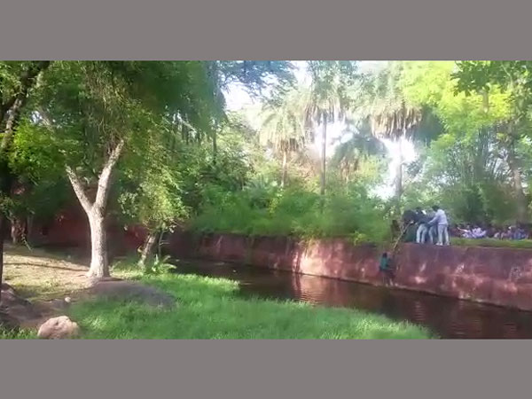 పూటుగా తాగి సింహాల బోనులోకి దూకాడు