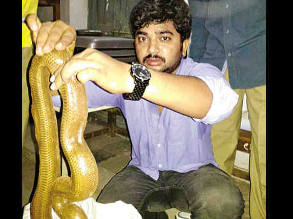 Khammam software employee sell two heads snake in online Khammam software employee sell two heads snake in online