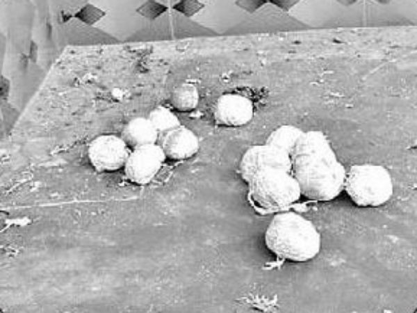 Article on country made bombs of Rayalaseema Article on country made bombs of Rayalaseema