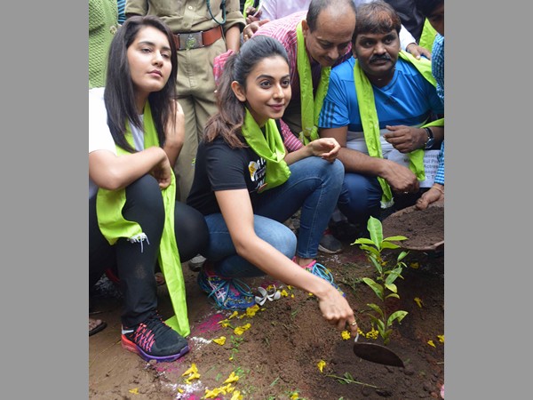 మొక్కల పంపిణీ