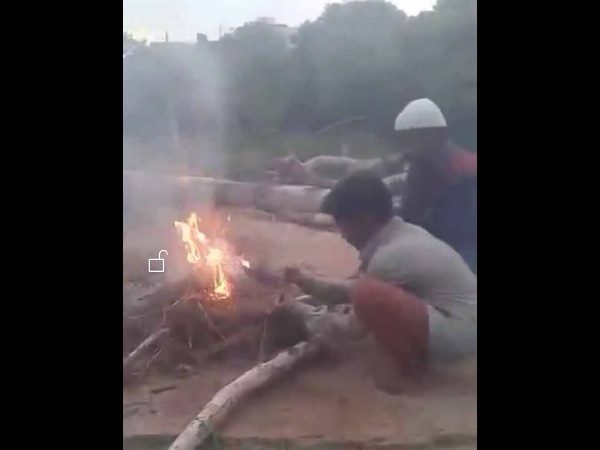 కుక్క పిల్లలు సజీవ దహనం