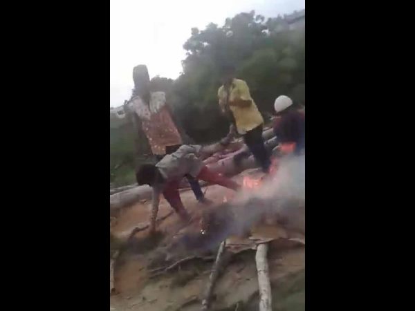 కుక్క పిల్లలు సజీవ దహనం