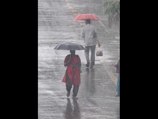 కడప జిల్లాలో విషాదం చోటు చేసుకుంది. మైదుకూరు మండలం