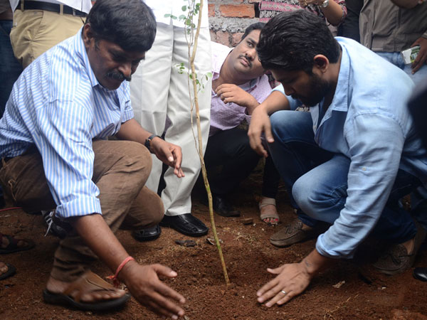 Allu Arjun comments on KCR's Haritha Haram Allu Arjun comments on KCR's Haritha Haram