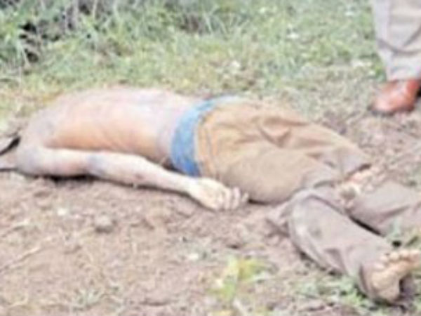 Mans head cut half in west godavari district Mans head cut half in west godavari district