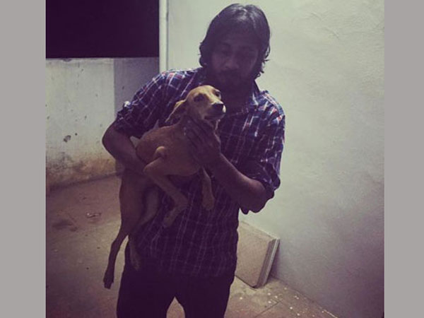 Medical student who flung dog off rooftop released on bail Medical student who flung dog off rooftop released on bail