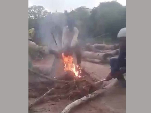 Horrifying moment dog is set on fire as sick yobs laugh Horrifying moment dog is set on fire as sick yobs laugh