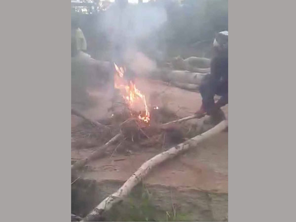 Horrifying moment dog is set on fire as sick yobs laugh Horrifying moment dog is set on fire as sick yobs laugh