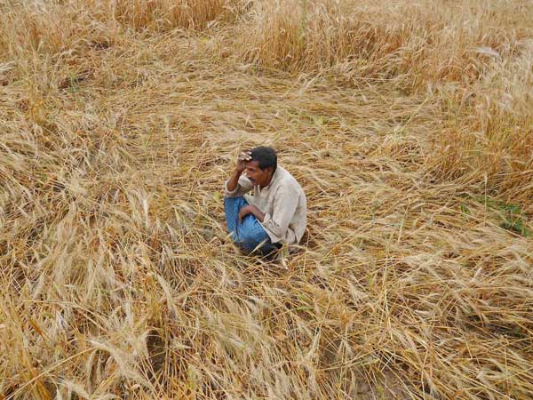 Moneylender demands daughter, daughter-in-law from farmer for 'company' Moneylender demands daughter, daughter-in-law from farmer for 'company'