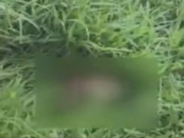 Severed Head found on National Highway near Atmakur in guntur district Severed Head found on National Highway near Atmakur in guntur district